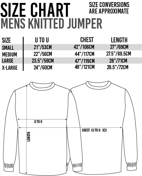 Harry Potter Mens Blue Jumper