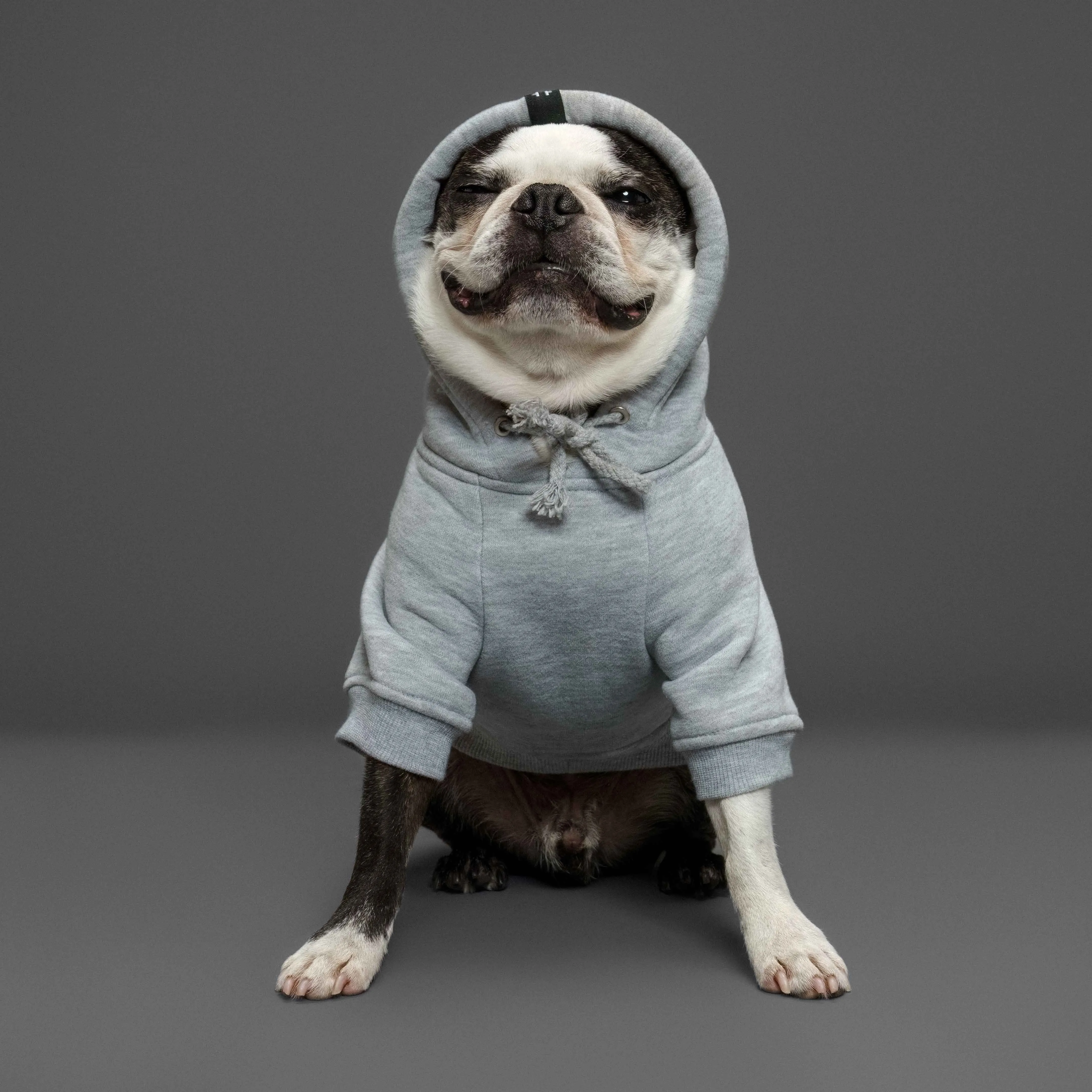Matching Dog and Human Hoodie Set - Heavy Petting ⚡️