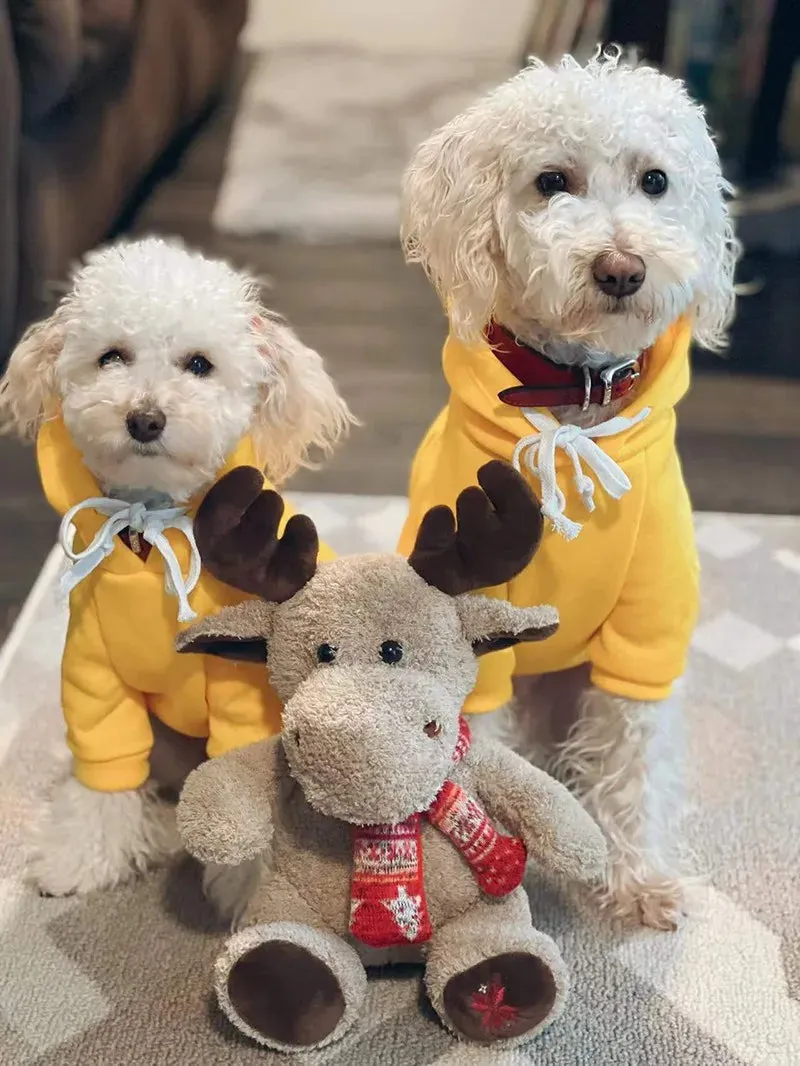 Mickey & Goofy Small Dog Hoodie