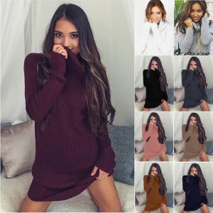 Sexy Turtle Neck Pure Color Long Sweater