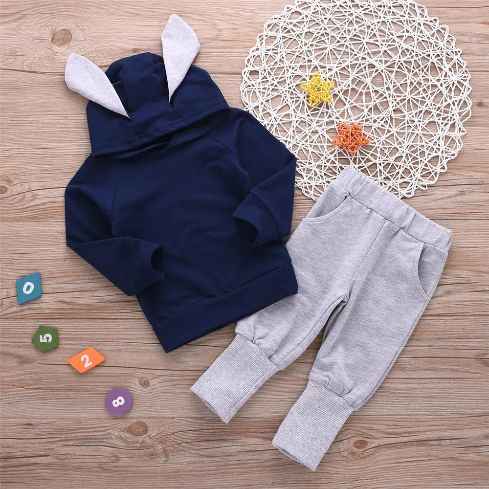 Toddler Boys Hooded Long Sleeve Top & Pants Wholesale Boys Clothes