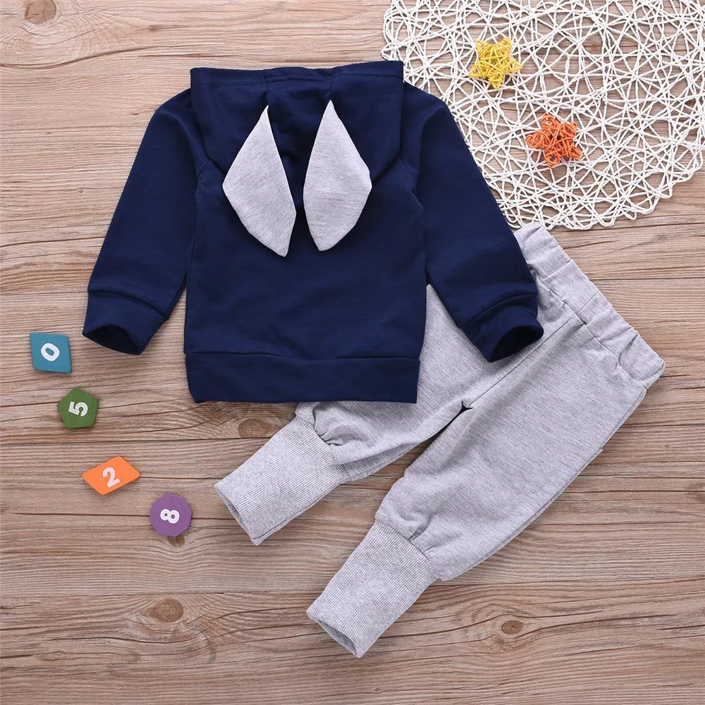 Toddler Boys Hooded Long Sleeve Top & Pants Wholesale Boys Clothes