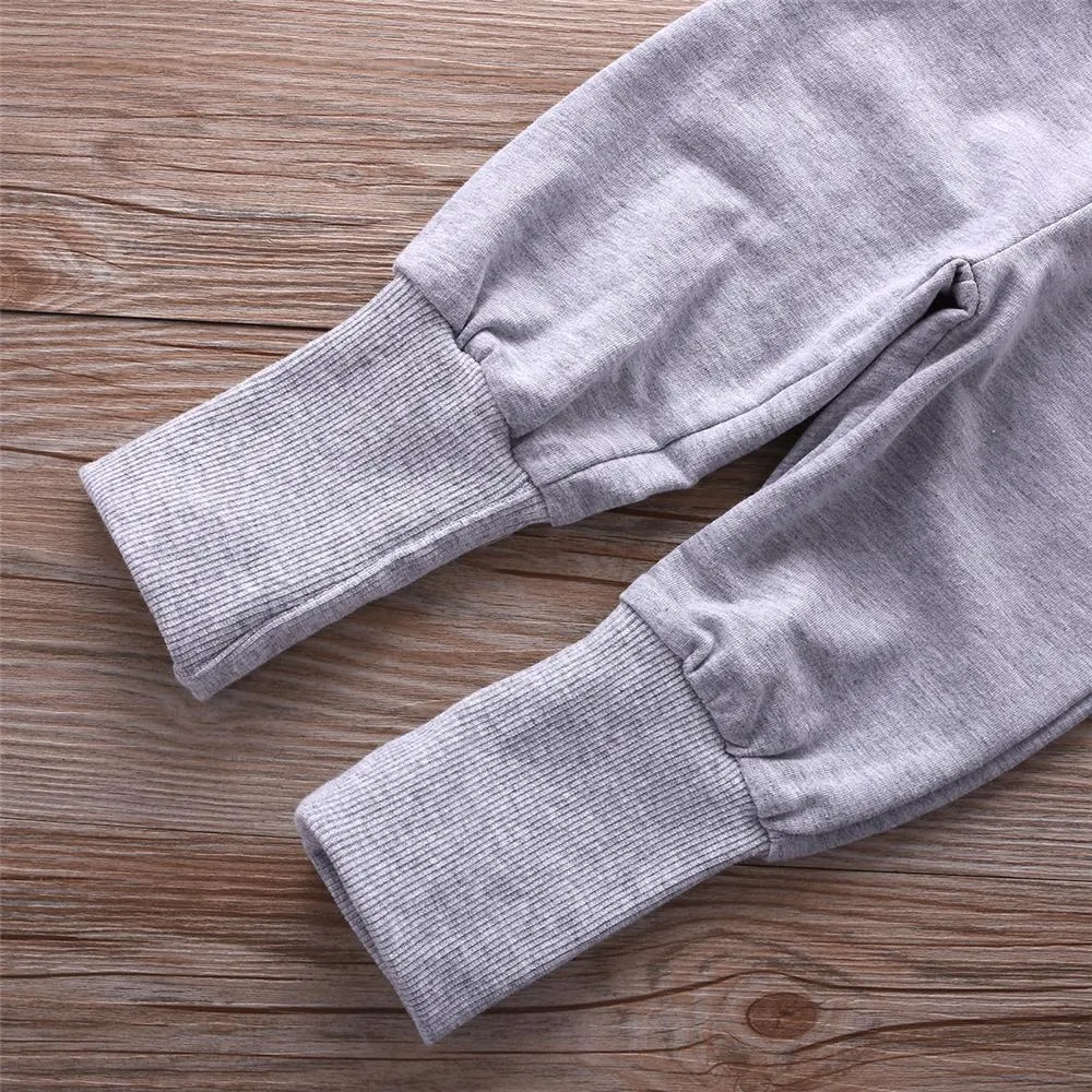 Toddler Boys Hooded Long Sleeve Top & Pants Wholesale Boys Clothes